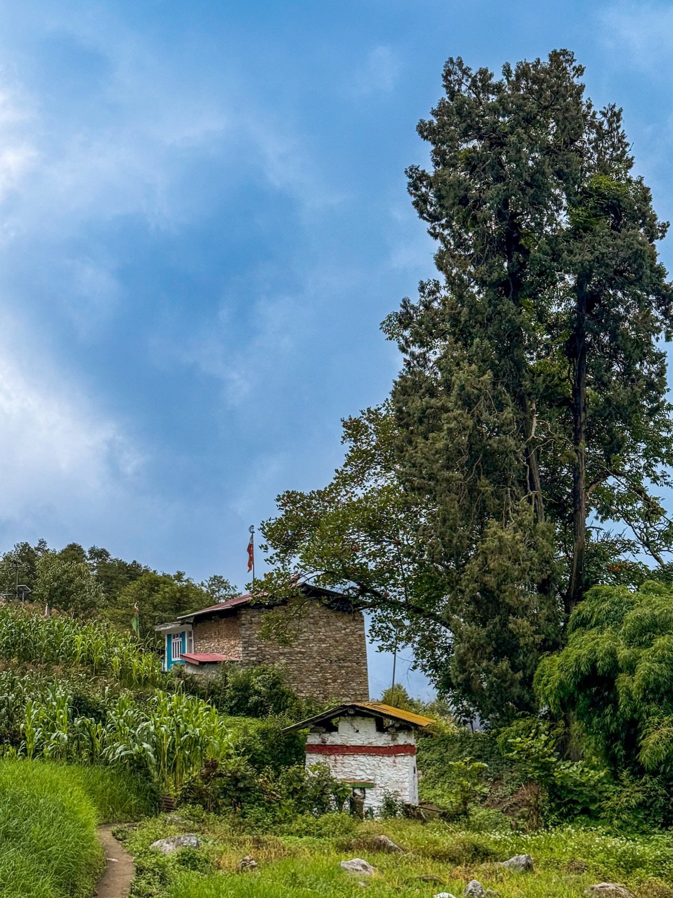 A traditional Monpa house in the hills above Tawang